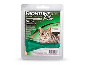 4_02 Ftl Plus gatos 280x210.jpg