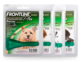 4_02 Ftl Plus perros range 280x210.jpg